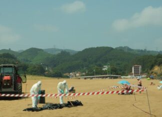 Diputación Foral de Bizkaia y Gobierno Vasco ponen a prueba con éxito la coordinación de los servicios de emergencia en el simulacro anual de playas