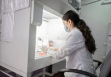 Nafarroa I+G arloko enpleguaren hazkundean laugarren komunitatea izan zen iaz, %7ko igoera izan baitzuen