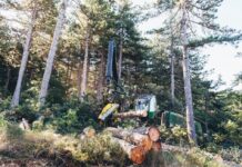 Fallece un operario forestal de 44 años tras ser alcanzado por un tronco en Azkoitia