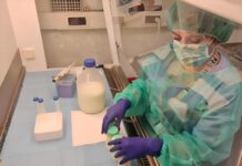 Osakidetza potencia su red asistencial de apoyo a la lactancia materna con consultas especializadas y talleres grupales